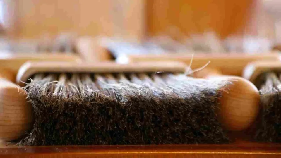 How To Clean Kilz Off Brush How To Clean Kilz Off The Brush