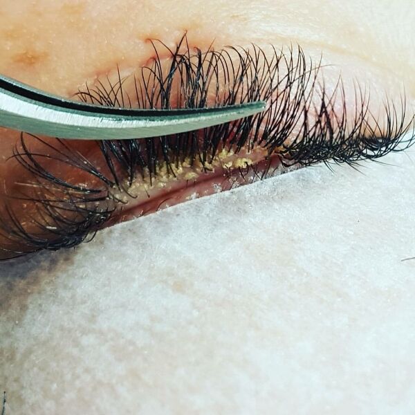 Dirty Eyelash How To Clean Eyelash Extensions Without Cleanser