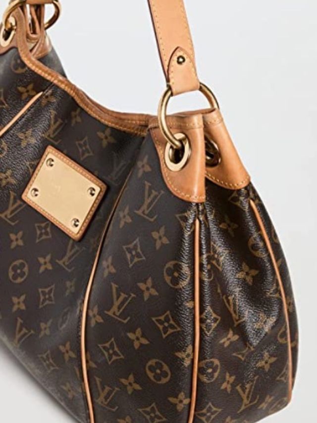 Googlestories How To Clean Your Louis Vuitton How To Clean Lv Monogram Canvas