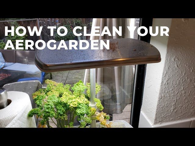 Sddefault How To Clean Aerogarden With Plants In It