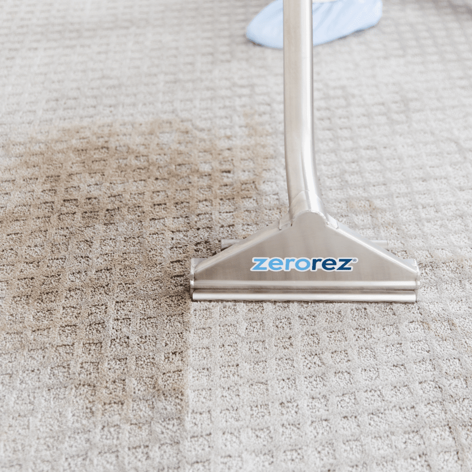 Zrengine 267398265 Should I Vacuum After Steam Cleaning Carpet