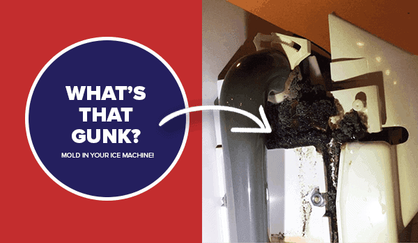 How Often Should You Clean A Commercial Ice Machine How Often Should Ice Machines Be Cleaned