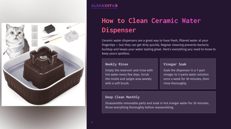 1 How To Clean Ceramic Water Dispenser A Clean, Modern Ceramic Water Dispenser For Cats And Dogs, Featuring A Dark Brown Reservoir And A White Base, Sits Next To A Curious Grey Tabby Cat. The Image Also Shows Replacement Filters, Tweezers, And A Brush, Highlighting The Dispenser'S Cleaning And Maintenance Aspects.