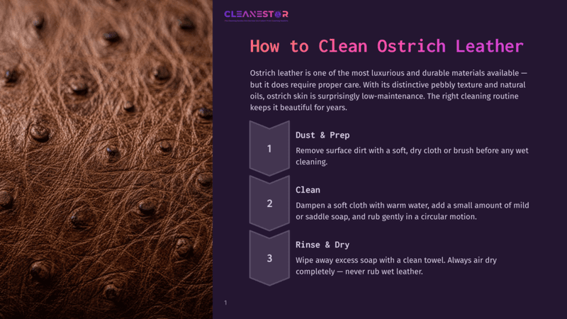 1 How To Clean Ostrich Leather Close-Up Of Rich, Textured Brown Ostrich Leather With Its Characteristic Pebbly Pattern, Showcasing The Natural Oils That Keep It Beautiful. Text Overlay: &Quot;Cleanestor&Quot; Logo And &Quot;How To Clean Ostrich Leather&Quot;.