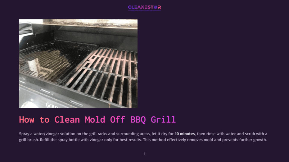 1 How To Clean Mold Off Bbq Grill A Dirty Bbq Grill With Grates Covered In Mold And Grease, Ready For Cleaning With A Water And Vinegar Solution.