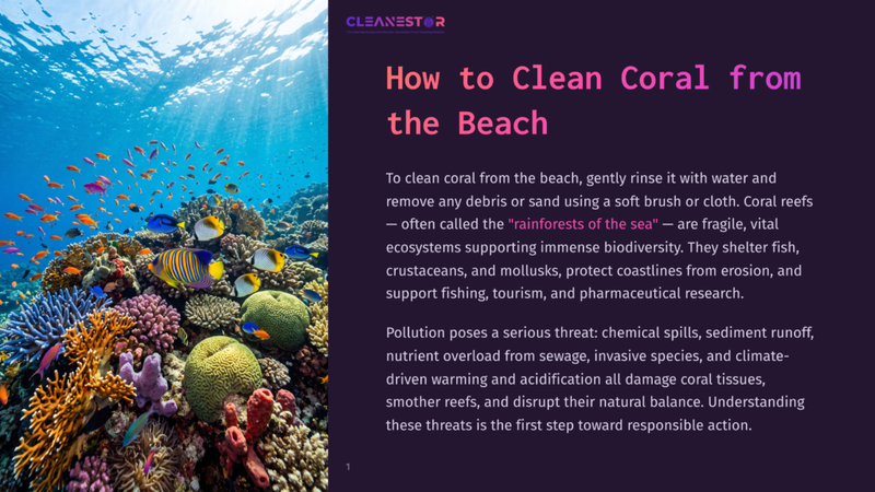 Vibrant Coral Reef Teeming With Colorful Fish, Sunlight Filtering Through The Ocean Water. Text Overlay Reads &Quot;Cleanestor&Quot; And &Quot;How To Clean Coral From The Beach&Quot;.