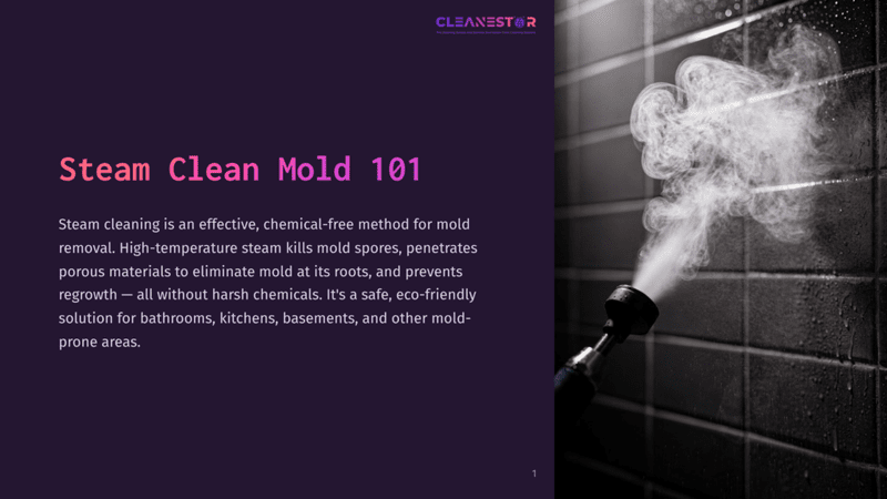 1 Steam Clean Mold 101 Steam Clean Mold 101: High-Temperature Steam Is Sprayed From A Nozzle Onto A Dark Tiled Shower Wall, Effectively Cleaning Mold.