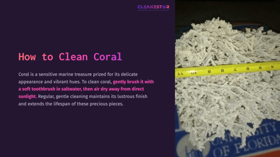 A Pile Of Coral Pieces Next To A Measuring Tape On A Dark Surface, Accompanied By Text About Cleaning Coral.