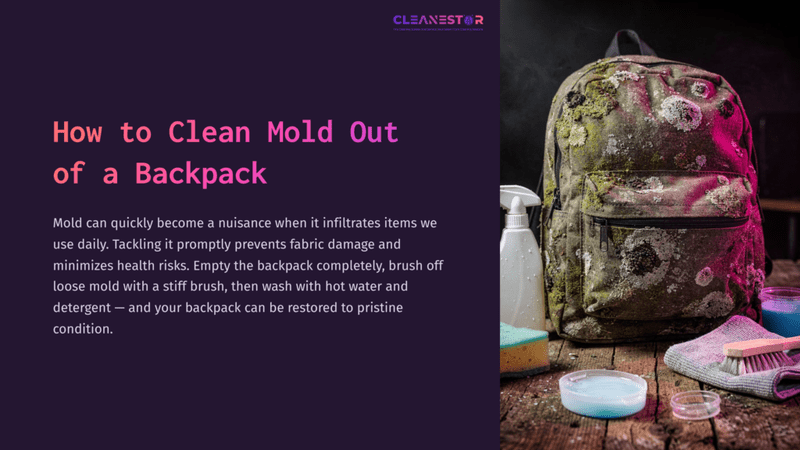 1 How To Clean Mold Out Of A Backpack A Moldy Backpack Sits On A Surface, Surrounded By Cleaning Supplies Including A Spray Bottle, Brushes, And Bowls Of Detergent.