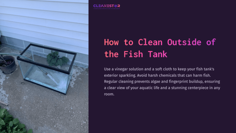 1 How To Clean Outside Of The Fish Tank A Rectangular Fish Tank Placed On A Concrete Surface, With A Soft Cloth And A Small Plant Inside, Surrounded By Minimal Outdoor Elements.