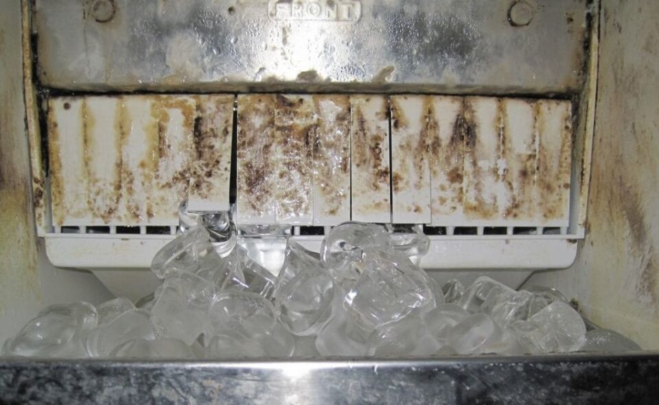 Clean A Dirty Ice Maker How To Clean A Commercial Ice Maker
