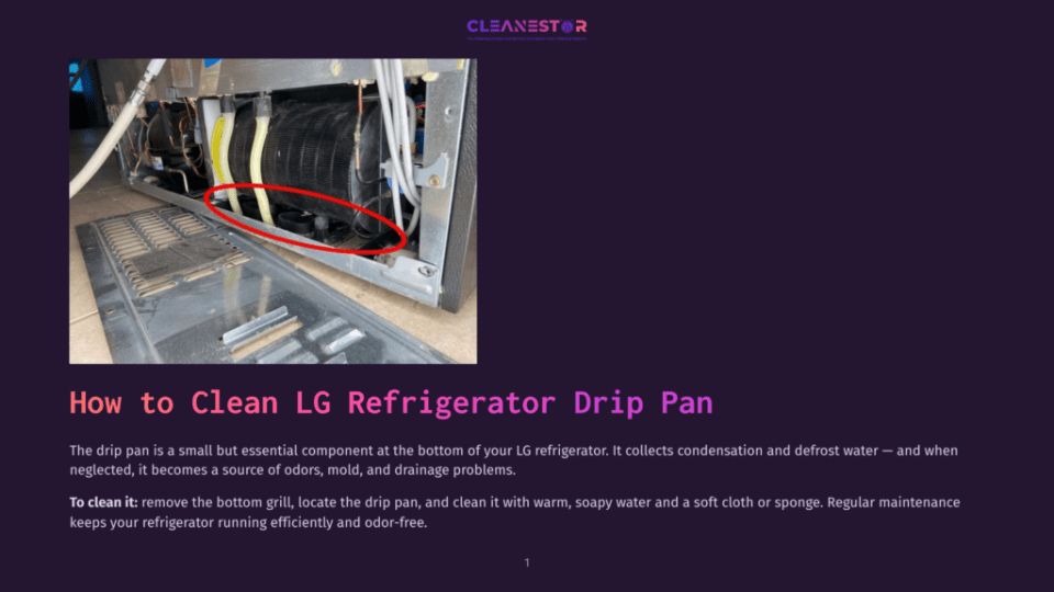 1 How To Clean Lg Refrigerator Drip Pan Close-Up Of The Rear Interior Of An Lg Refrigerator, Showing The Drip Pan And Condenser Coils, Circled In Red, With The Text &Quot;How To Clean Lg Refrigerator Drip Pan&Quot; Overlaid.