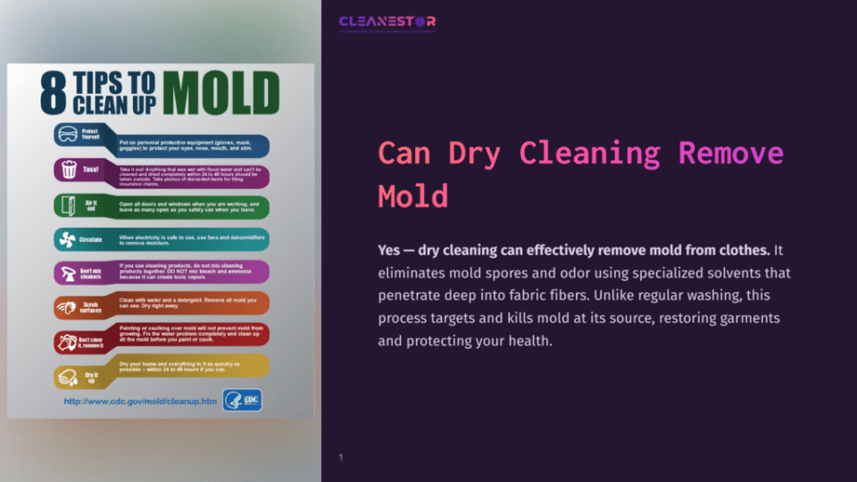 1 Can Dry Cleaning Remove Mold Infographic Titled &Quot;8 Tips To Clean Up Mold&Quot; With Icons And Text Detailing Protective Gear, Ventilation, And Cleaning Methods. The Right Side Features Text: &Quot;Can Dry Cleaning Remove Mold?&Quot; And &Quot;Yes – Dry Cleaning Can Effectively Remove Mold From Clothes.
