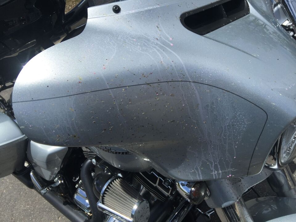 How To Clean Bugs Off Motorcycle Helmet  