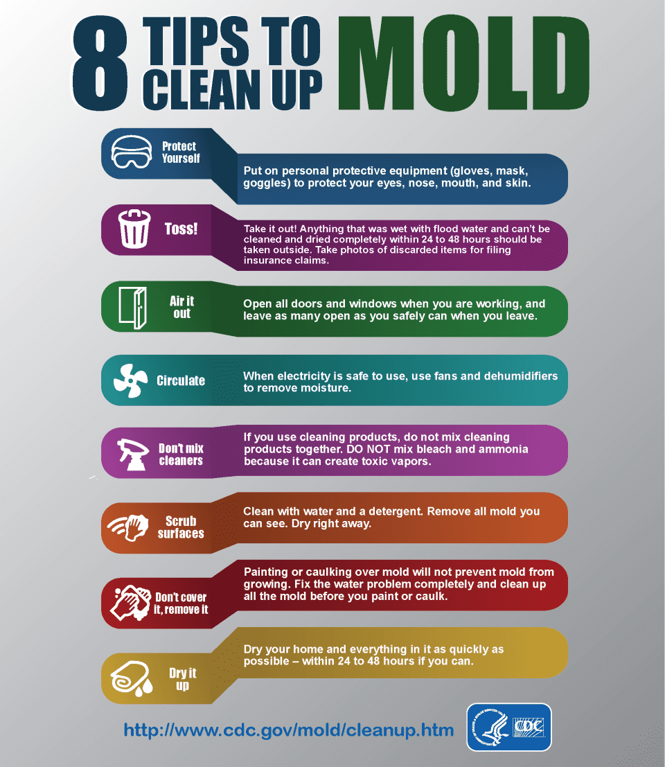 Mold Cleanup Can Dry Cleaning Remove Mold