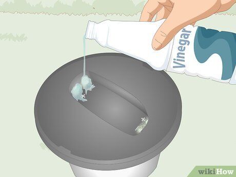 How To Clean Solar Lights With Vinegar  