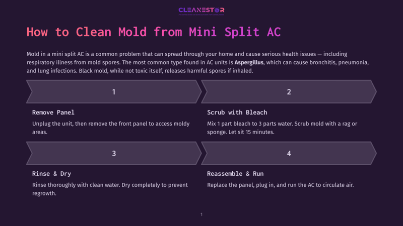 1 How To Clean Mold From Mini Split Ac Infographic Detailing How To Clean Mold From A Mini Split Ac Unit, With Steps Including Removing The Panel, Scrubbing With Bleach, Rinsing, And Reassembling.