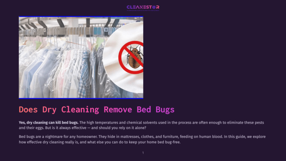 1 Does Dry Cleaning Remove Bed Bugs Dry Cleaning Rack Filled With Clothes In Plastic Bags, With A Circular Graphic Of A Bed Bug Icon On A White Background In The Foreground.