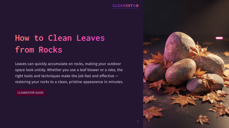 1 How To Clean Leaves From Rocks Close-Up Of Wet, Smooth Rocks With Fallen Autumn Leaves Scattered Around Them, Suggesting Outdoor Cleaning. The Scene Is Dark And Moody.