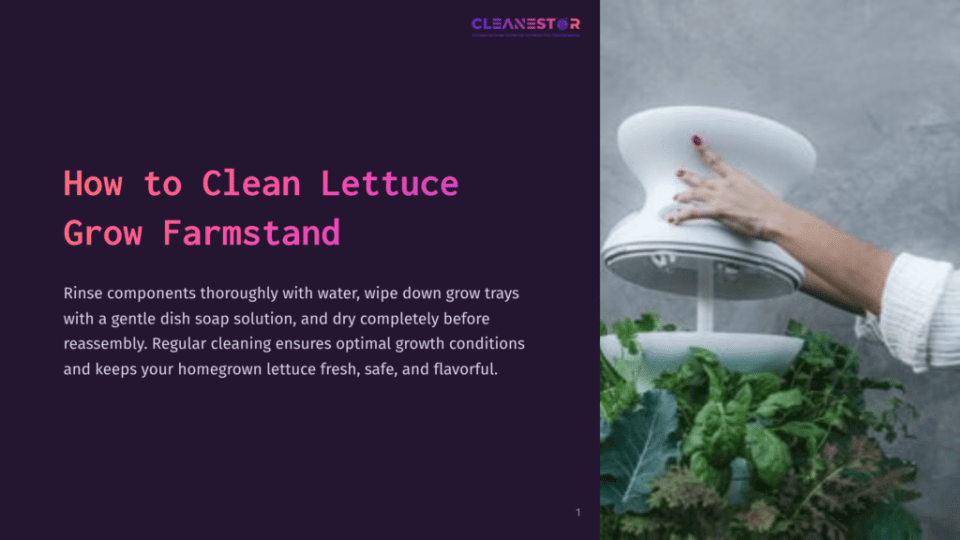 1 How To Clean Lettuce Grow Farmstand Hands Clean A White Hydroponic Lettuce Grow Farmstand With Fresh Leafy Greens, Following Instructions To Wash Components With Soap And Water.