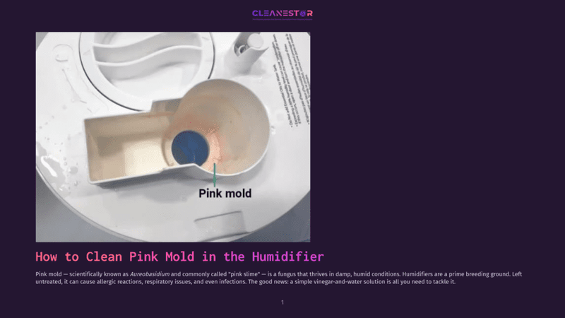 1 How To Clean Pink Mold In The Humidifier Close-Up Of A Humidifier'S Water Tank Showing Pink Mold, Labeled &Quot;Pink Mold,&Quot; Highlighting The Need To Clean Humidifiers.