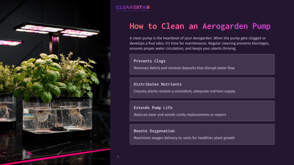 1 How To Clean An Aerogarden Pump A Close-Up Of A Hydroponic Aerogarden System With Lush Green Basil And Thyme Plants Growing. The Water Reservoir Shows Healthy Roots, And The Led Grow Lights Are Illuminated Above.