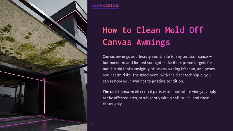 1 How To Clean Mold Off Canvas Awnings A Canvas Awning With Visible Mold And Water Droplets Hangs Above A Modern Entrance With Pink Neon Lights. The Text &Quot;Cleanestor&Quot; And &Quot;How To Clean Mold Off Canvas Awnings&Quot; Is Visible.