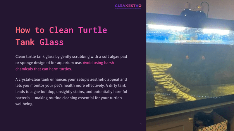 1 How To Clean Turtle Tank Glass 1 Turtle Tank With Green Algae On The Glass And Submerged Decorations; Water Has Some Floating Debris, Emphasizing Cleaning Need.