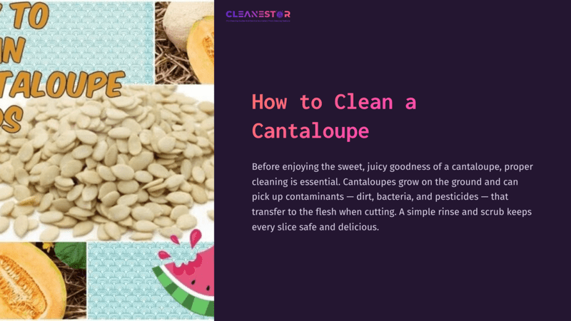 1 How To Clean A Cantaloupe A Light Teal Background Features A Cantaloupe Slice, Seeds, And A Pink Watermelon Slice, Creating A Vibrant, Colorful Layout.