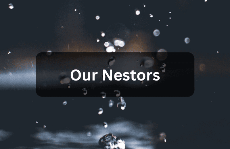 Nestors 1 Nestors