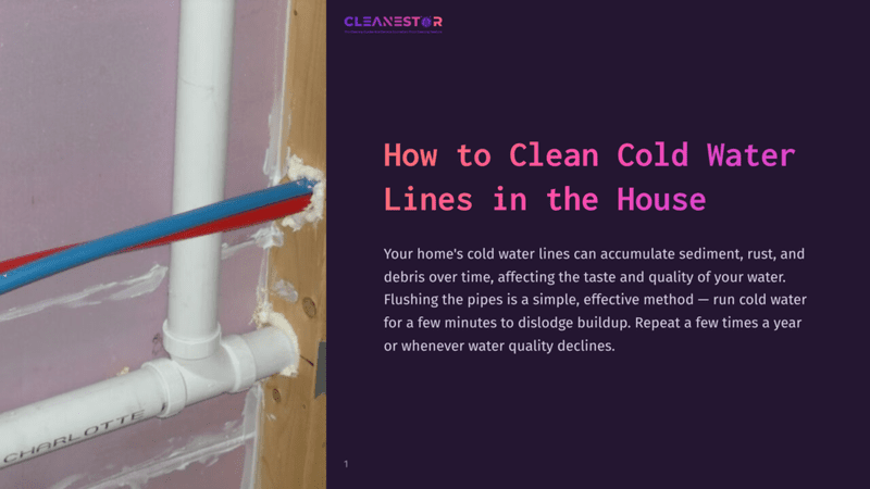 1 How To Clean Cold Water Lines In The House Close-Up Of White Pvc Pipes And A Red And Blue Pex Water Line Connected Behind A Wall, With White Sealant Visible. The Cleanestor Logo Is In The Top Right Corner.