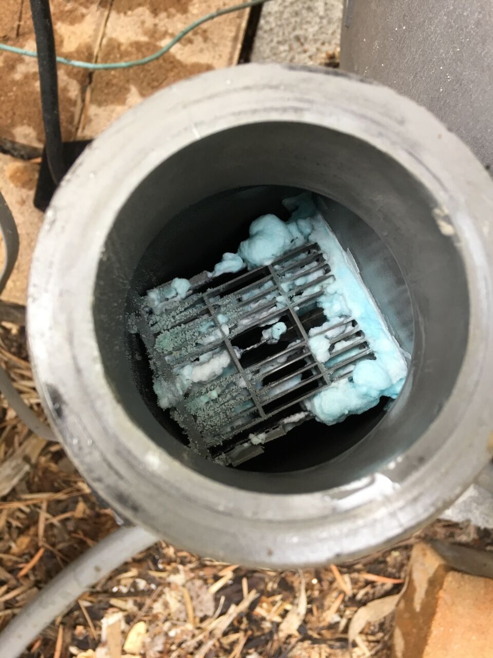 Img 1318 How To Clean A Jandy Salt Cell