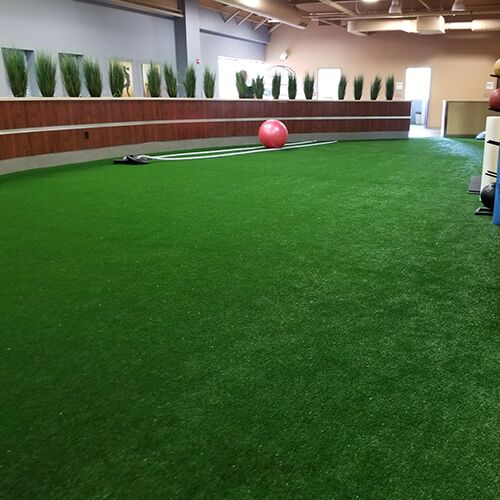 How To Clean Indoor Turf  
