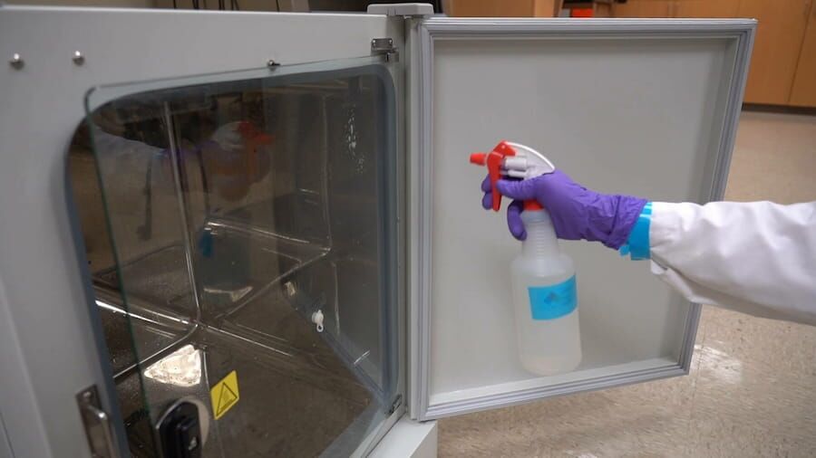 How To Clean An Incubator  