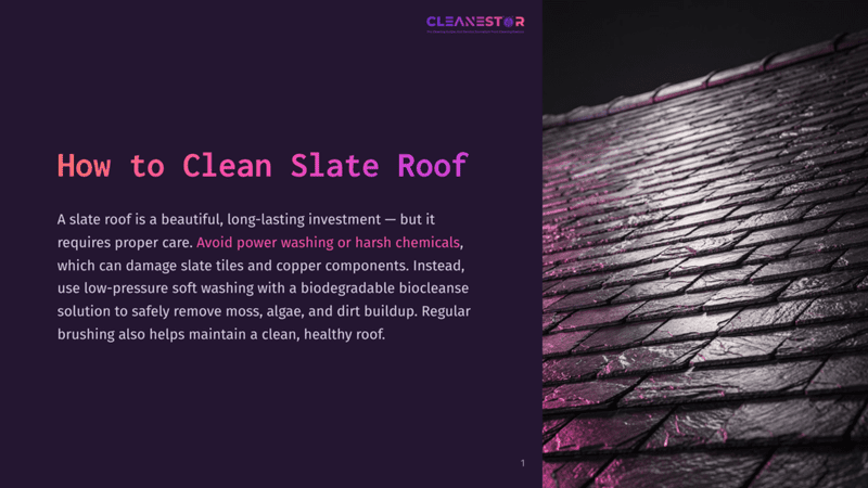 1 How To Clean Slate Roof Close-Up Of A Dark, Wet Slate Roof With A Purple Glow, Showing The Texture And Overlap Of The Tiles. Text Overlay Reads &Quot;Cleanestor How To Clean Slate Roof&Quot;.