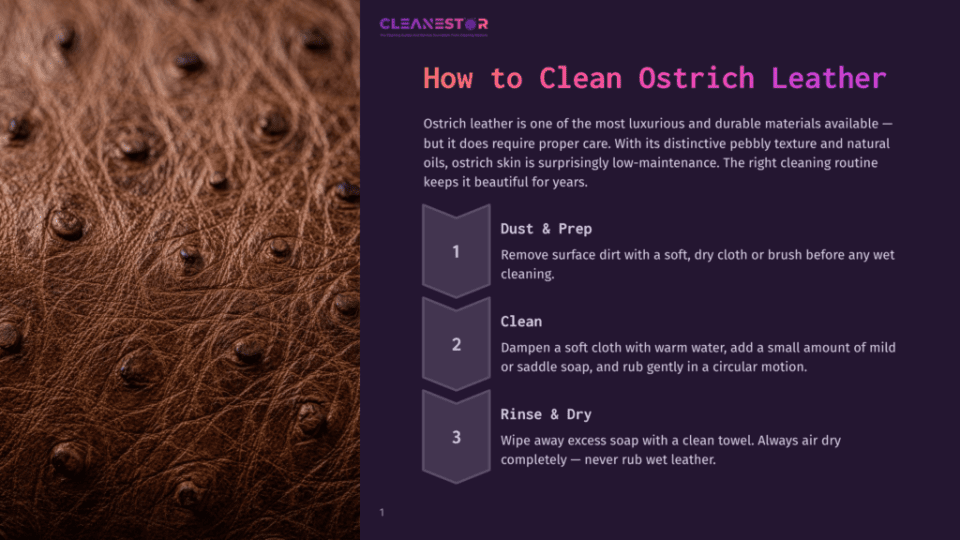 1 How To Clean Ostrich Leather Close-Up Of Rich, Textured Brown Ostrich Leather With Its Characteristic Pebbly Pattern, Showcasing The Natural Oils That Keep It Beautiful. Text Overlay: &Quot;Cleanestor&Quot; Logo And &Quot;How To Clean Ostrich Leather&Quot;.