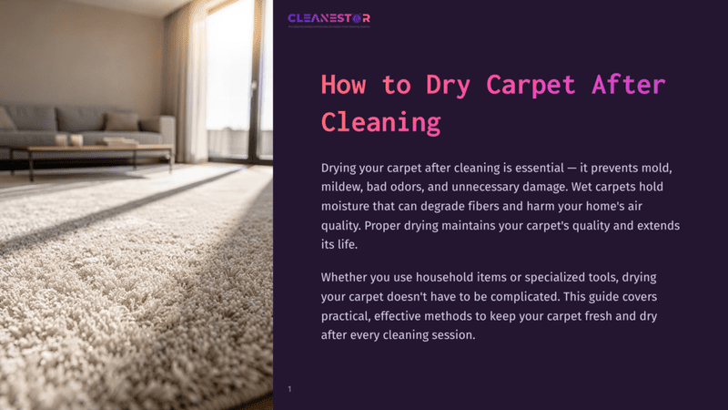 1 How To Dry Carpet After Cleaning A Sunlit Living Room With A Plush, Cream-Colored Carpet In The Foreground, Leading To A Modern Sofa And Coffee Table In The Background. The Text &Quot;Cleanestor How To Dry Carpet After Cleaning&Quot; Is Visible.