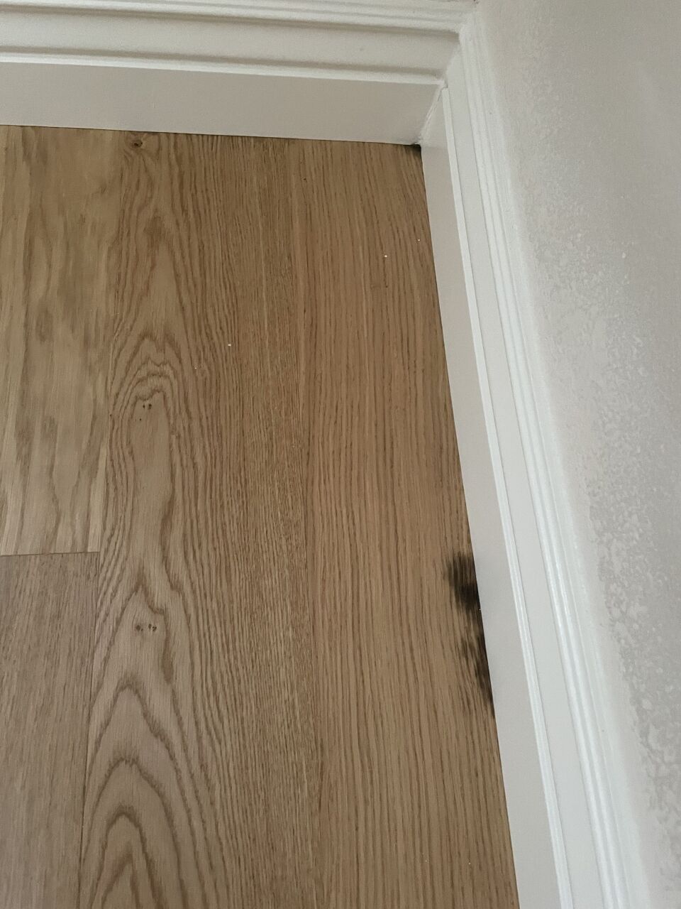 New Install Why Is This Engineered Hardwood Turning Black V0 L Fdnle7G5Pmxk4Mi9Fv C2Jacmbv8Sblasseceoeni What To Do When Hardwood Floor Turns Black