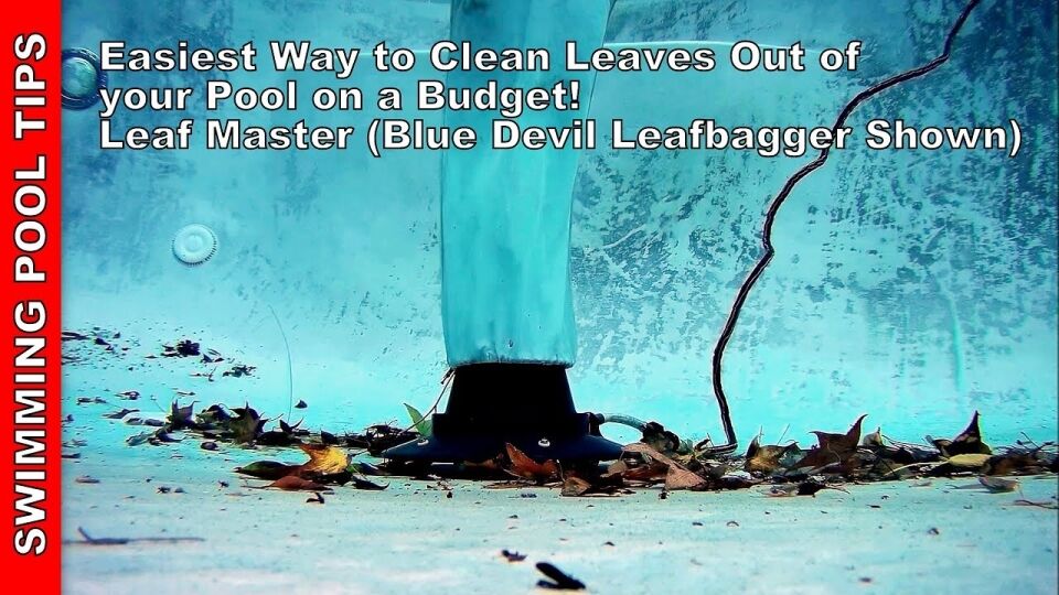 How To Clean A Pool Full Of Leaves