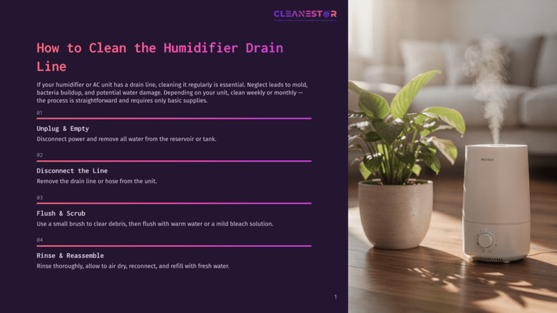 1 How To Clean The Humidifier Drain Line A White Levoit Humidifier With A Plant In A Pot Sits On A Wooden Floor. The Humidifier Is Emitting A Stream Of Mist. The Image Is A Visual Guide On How To Clean A Humidifier.