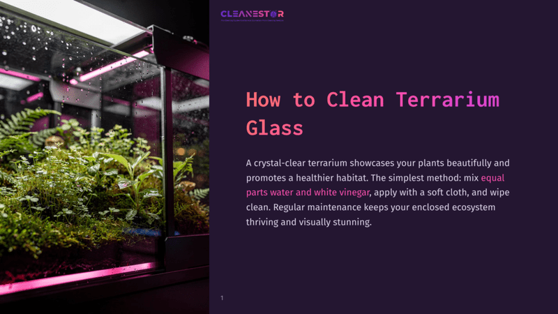 1 How To Clean Terrarium Glass A Beautifully Maintained, Lush Green Terrarium With Vibrant Plants And Moss, Illuminated By Pinkish-Purple Light. The Text &Quot;How To Clean Terrarium Glass&Quot; Is Visible.