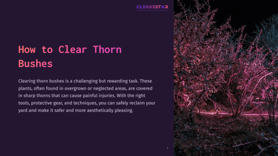 1 How To Clear Thorn Bushes A Dense, Thorny Bush Is Illuminated By Vibrant Pink And Blue Lights At Night, With The Text &Quot;Cleanestor&Quot; Visible At The Top.
