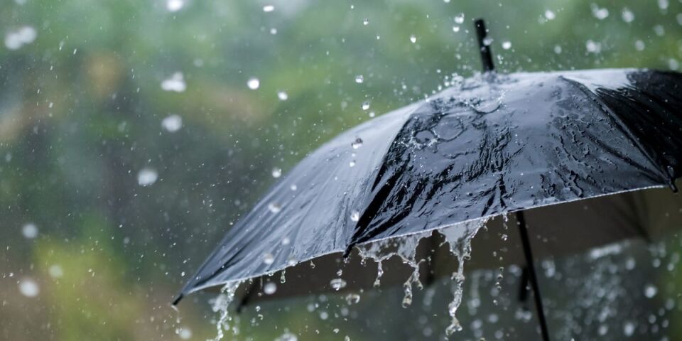 Remove Mud Stains How To Clean A Rain Umbrella