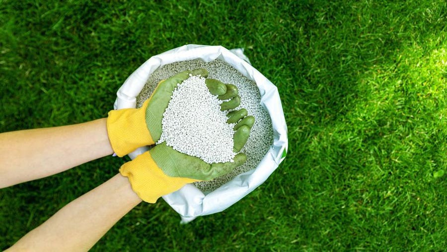 Rodent Clean-Up Services Cost (Complete Guide)  