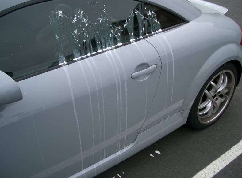 How To Get Egg Off Y Car Got Egged How To Clean