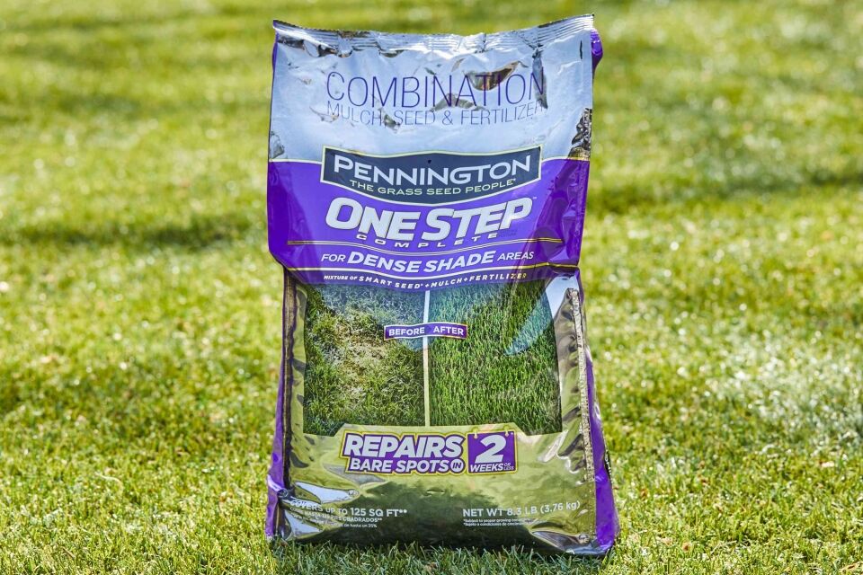 Grass Seed High-Traffic For Perfect Maintenance  